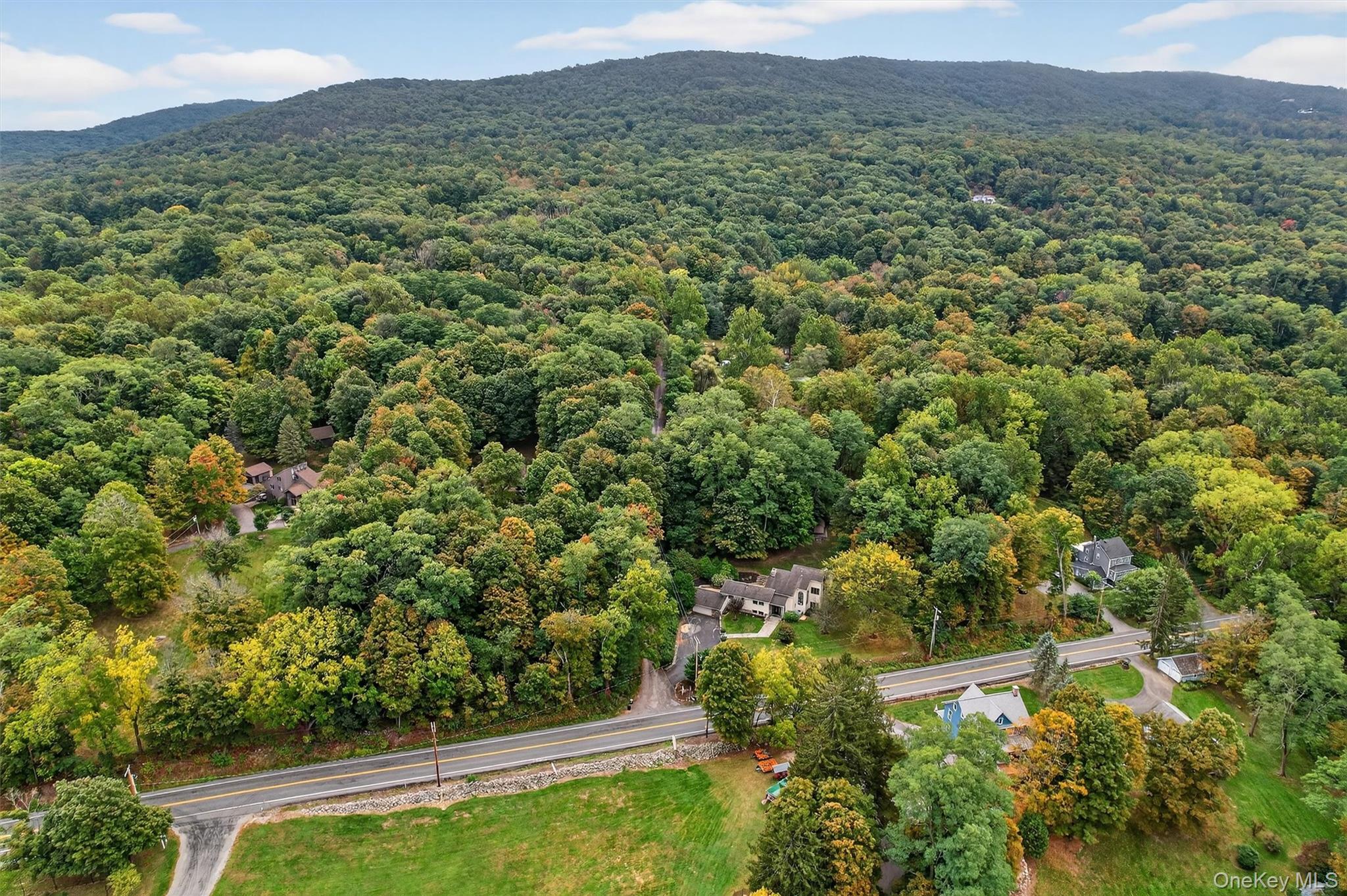 2 Tenny Lane Cornwall, NY 12518 - Photo 37 of 44 Drone / aerial view of a forest and a mountain backdrop
