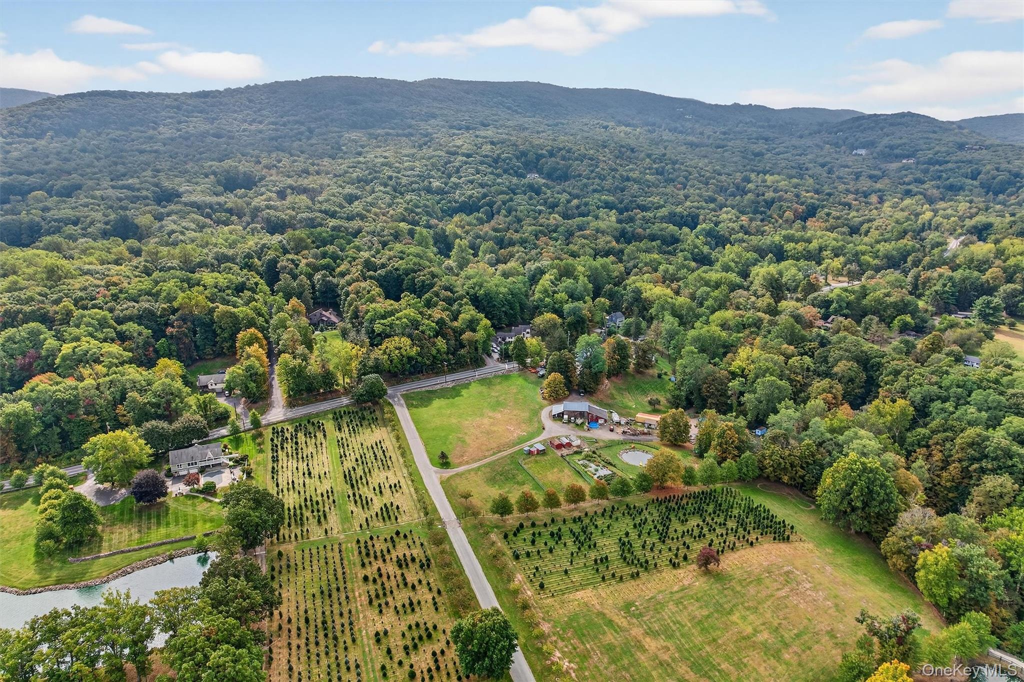 2 Tenny Lane Cornwall, NY 12518 - Photo 38 of 44 Overview of rural landscape featuring abundant farmland