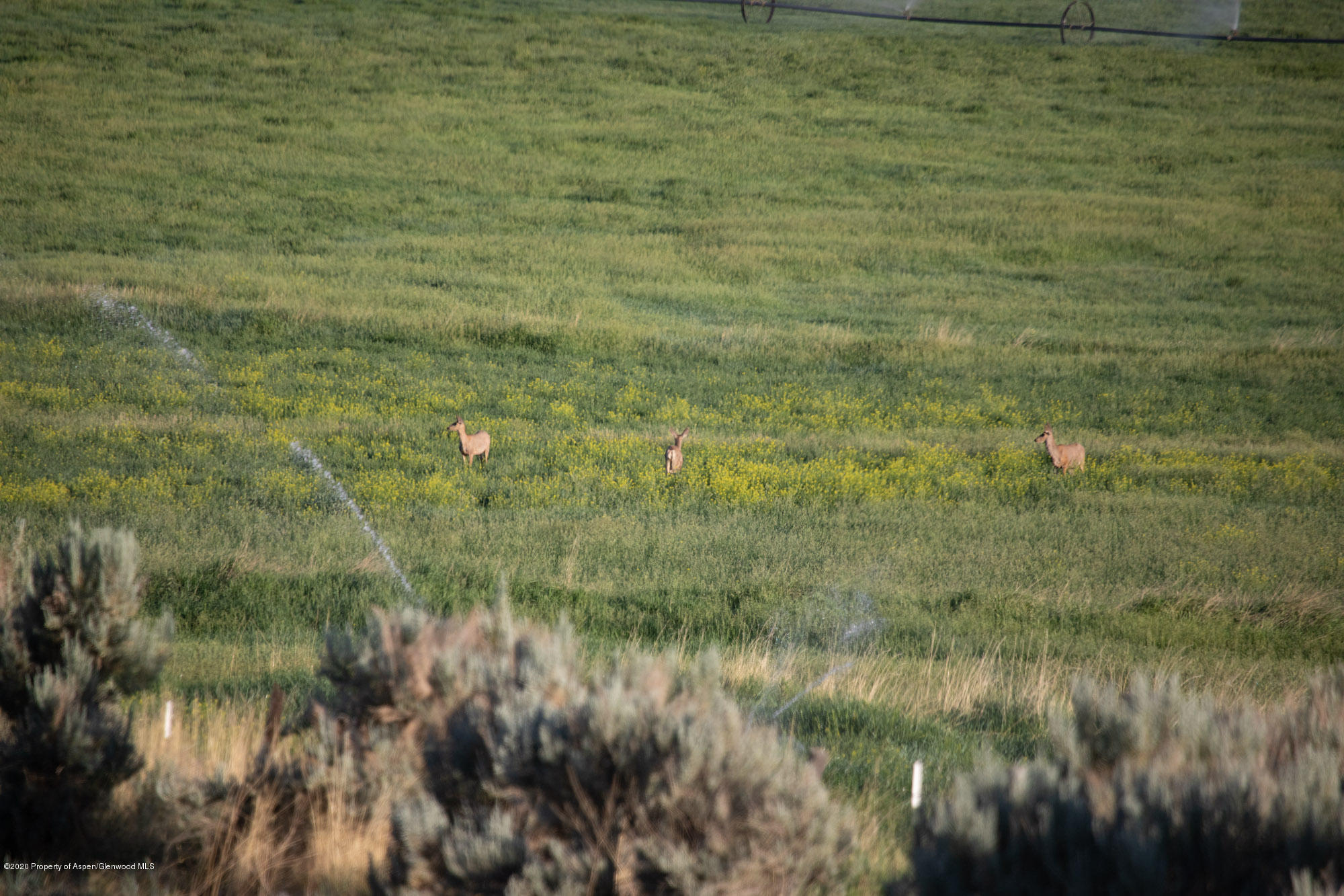 1989 County Road 320 Rifle, CO 81650 - Photo 11 of 36 a view of a lake view