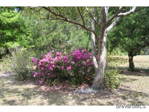 2110 Turpentine Road Mims, FL 32754 - Photo 4 of 12 Additional Photo