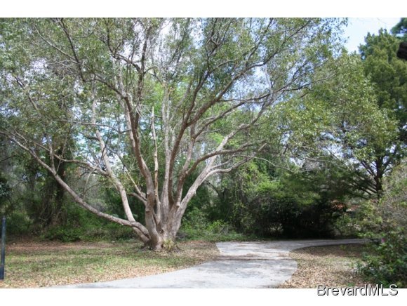 2110 Turpentine Road Mims, FL 32754 - Photo 5 of 12 Additional Photo