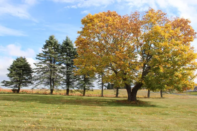 $225,000 | 1 Fox Lane, Wade, ME 04786