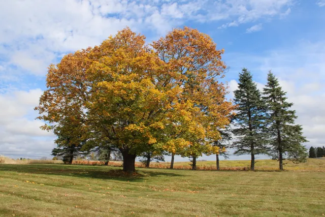 $225,000 | 1 Fox Lane, Wade, ME 04786