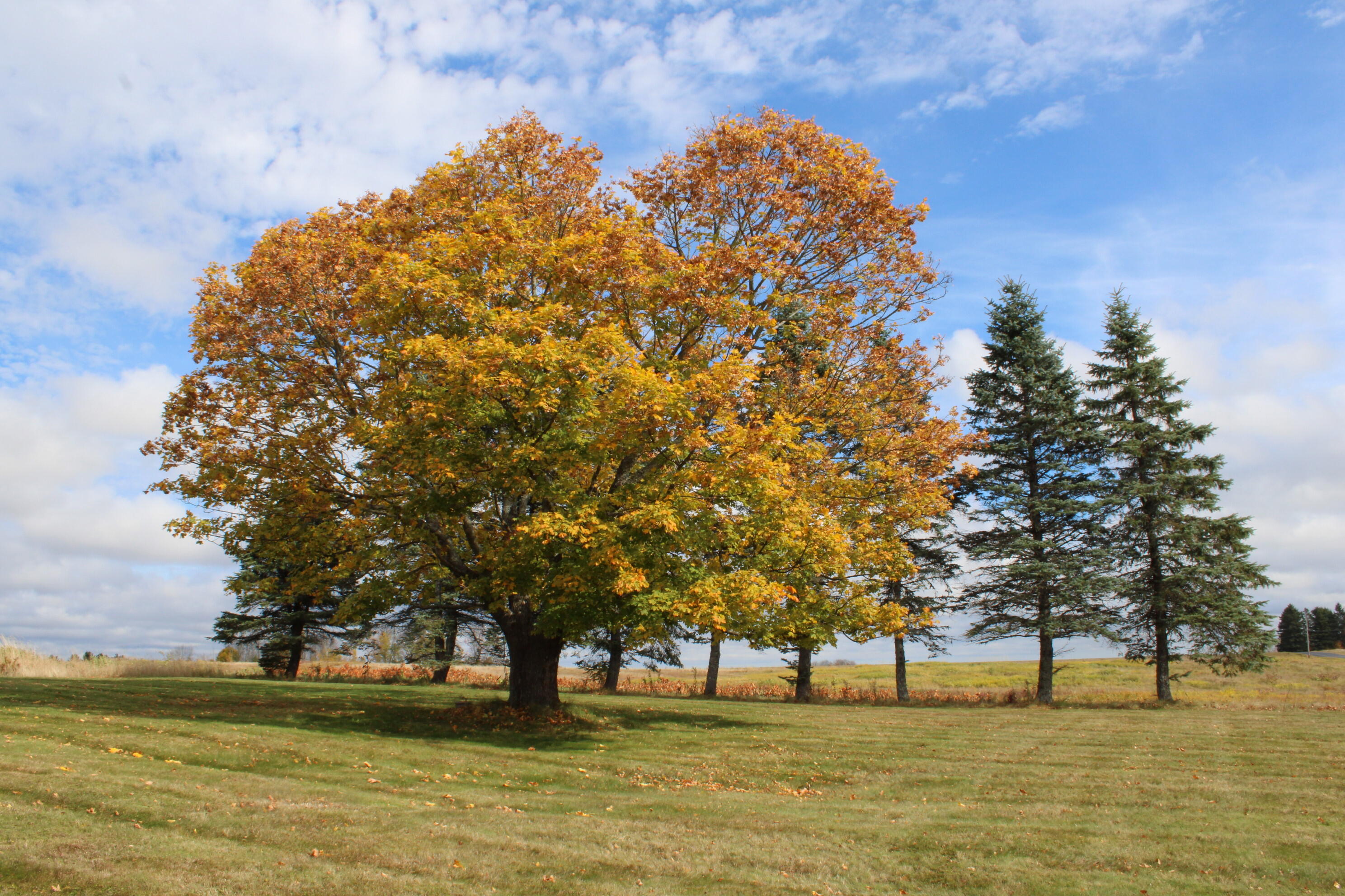 1 Fox Lane Wade, ME 04786 - Photo 6 of 24 IMG_0881