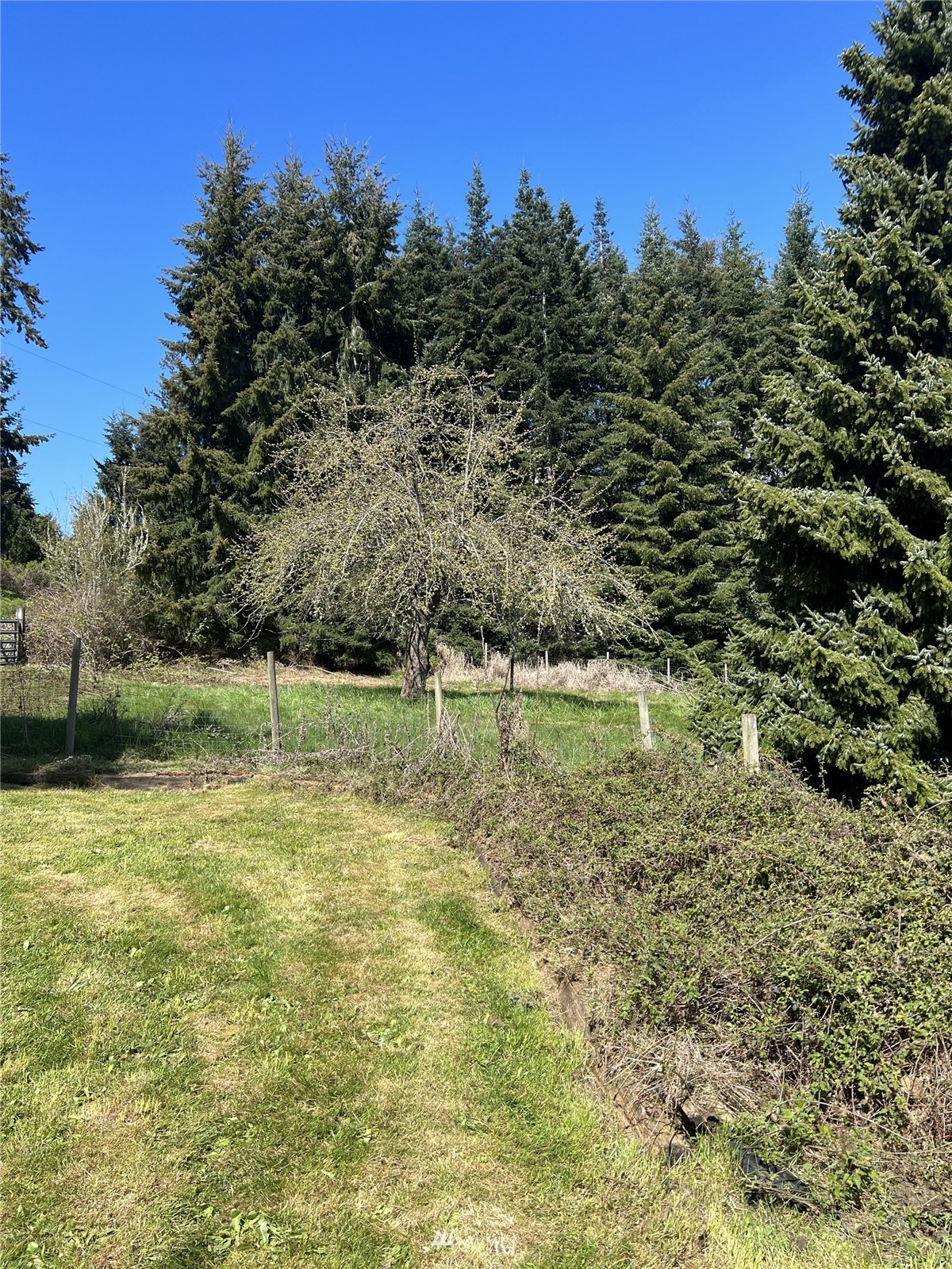 6889 Sills Road Clinton, WA 98236 - Photo 5 of 34 a view of a lake with a yard