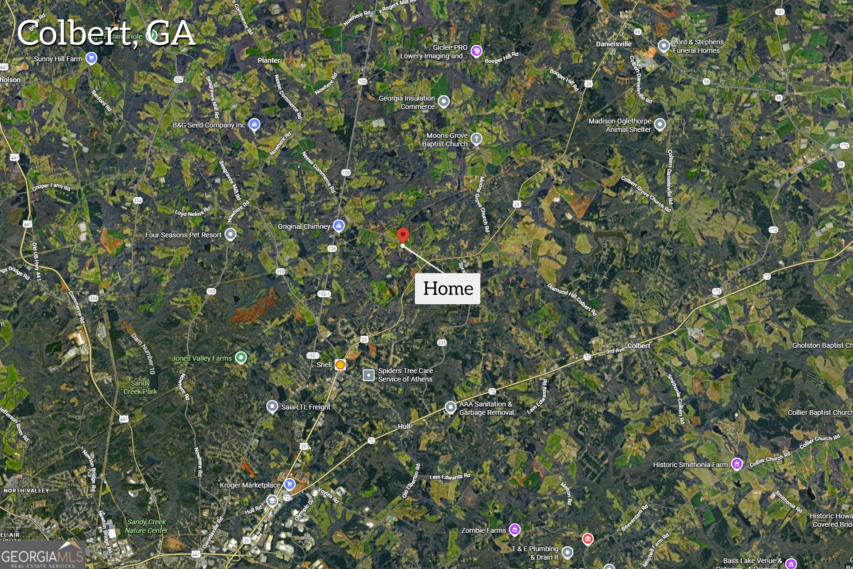 975 Diamond Hill Neese Road Colbert, GA 30628 - Photo 56 of 59 a view of a tree