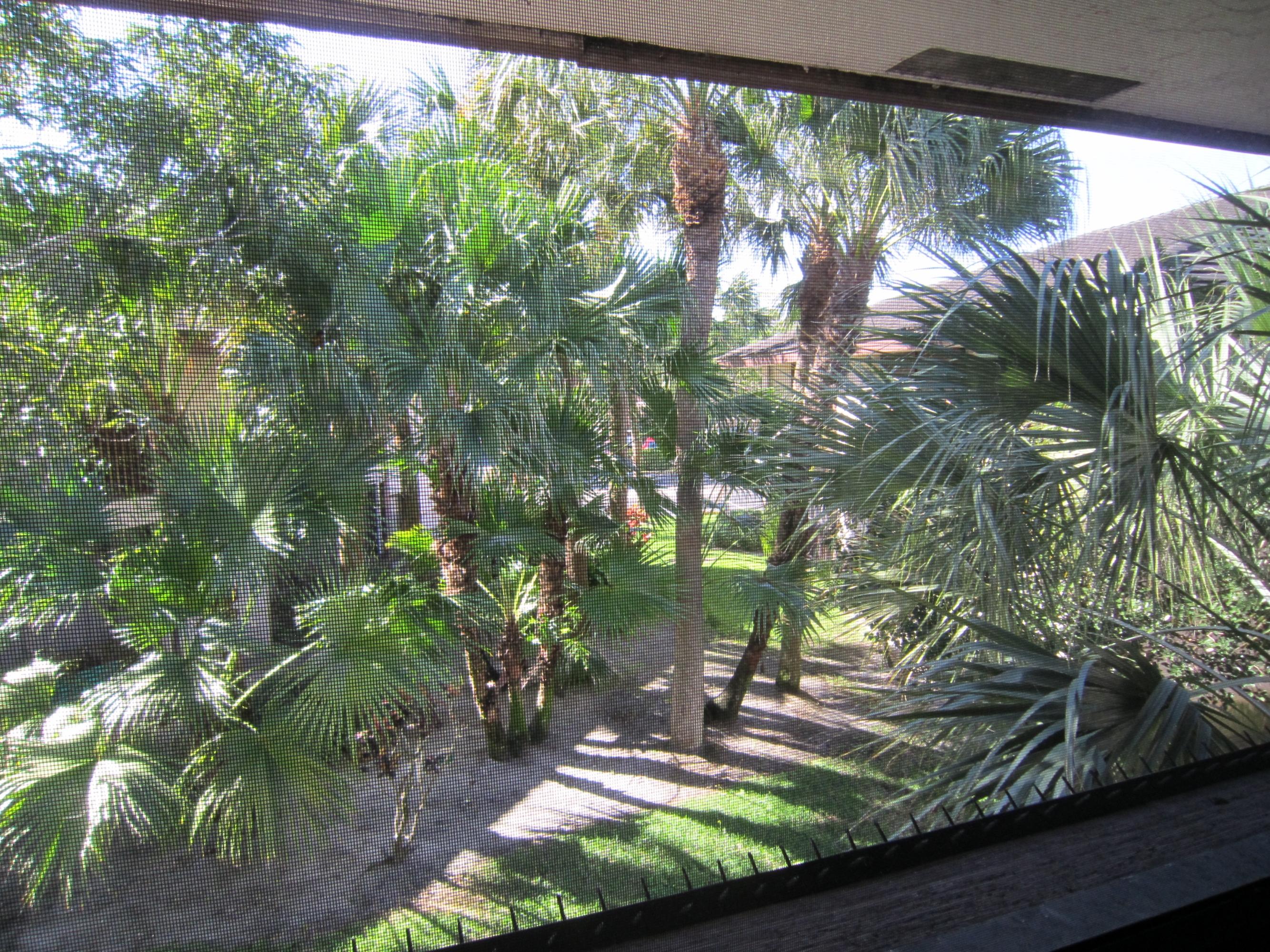 9268 Sable Ridge Circle, Unit B Boca Raton, FL 33428 - Photo 19 of 21 IMG_1272