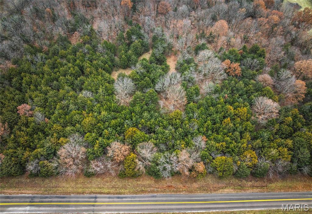 0 State Rte U Walnut Grove, MO 65770 - Photo 3 of 15