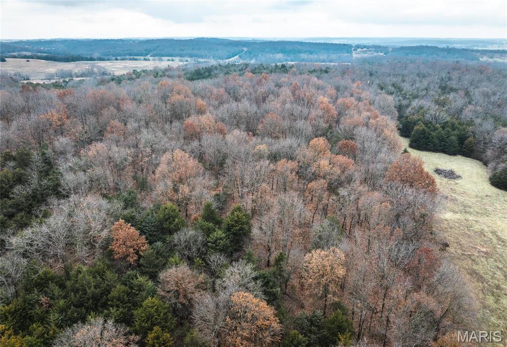 0 State Rte U Walnut Grove, MO 65770 - Photo 5 of 15