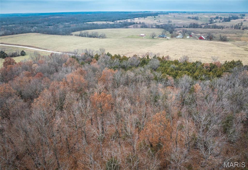 0 State Rte U Walnut Grove, MO 65770 - Photo 8 of 15