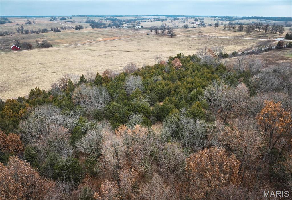 0 State Rte U Walnut Grove, MO 65770 - Photo 9 of 15