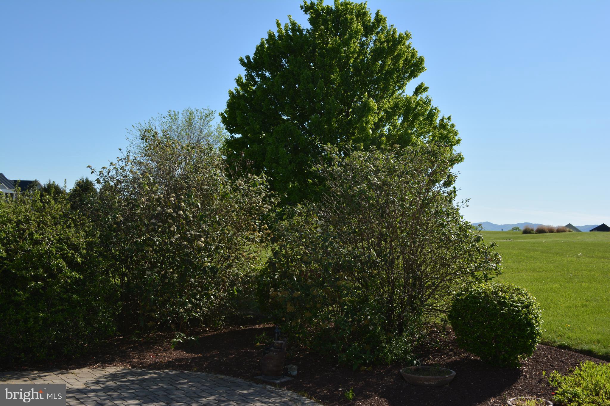 1376 Rockland Road Front Royal, VA 22630 - Photo 93 of 117