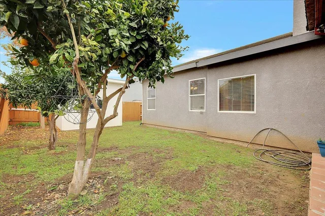a house with a tree in front of it