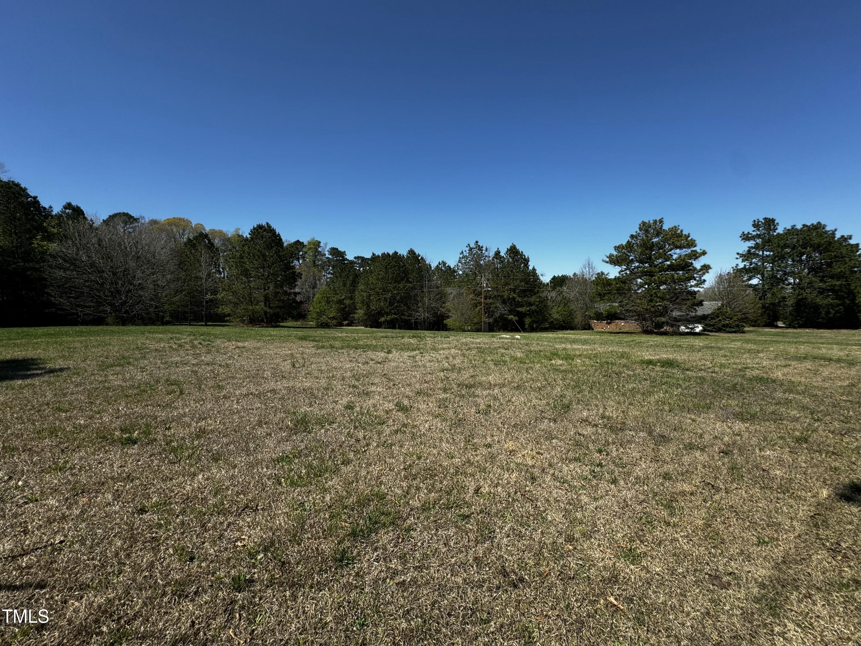 0 Battle Bridge Road Raleigh, NC 27610 - Photo 3 of 4 a view of a field with a tree
