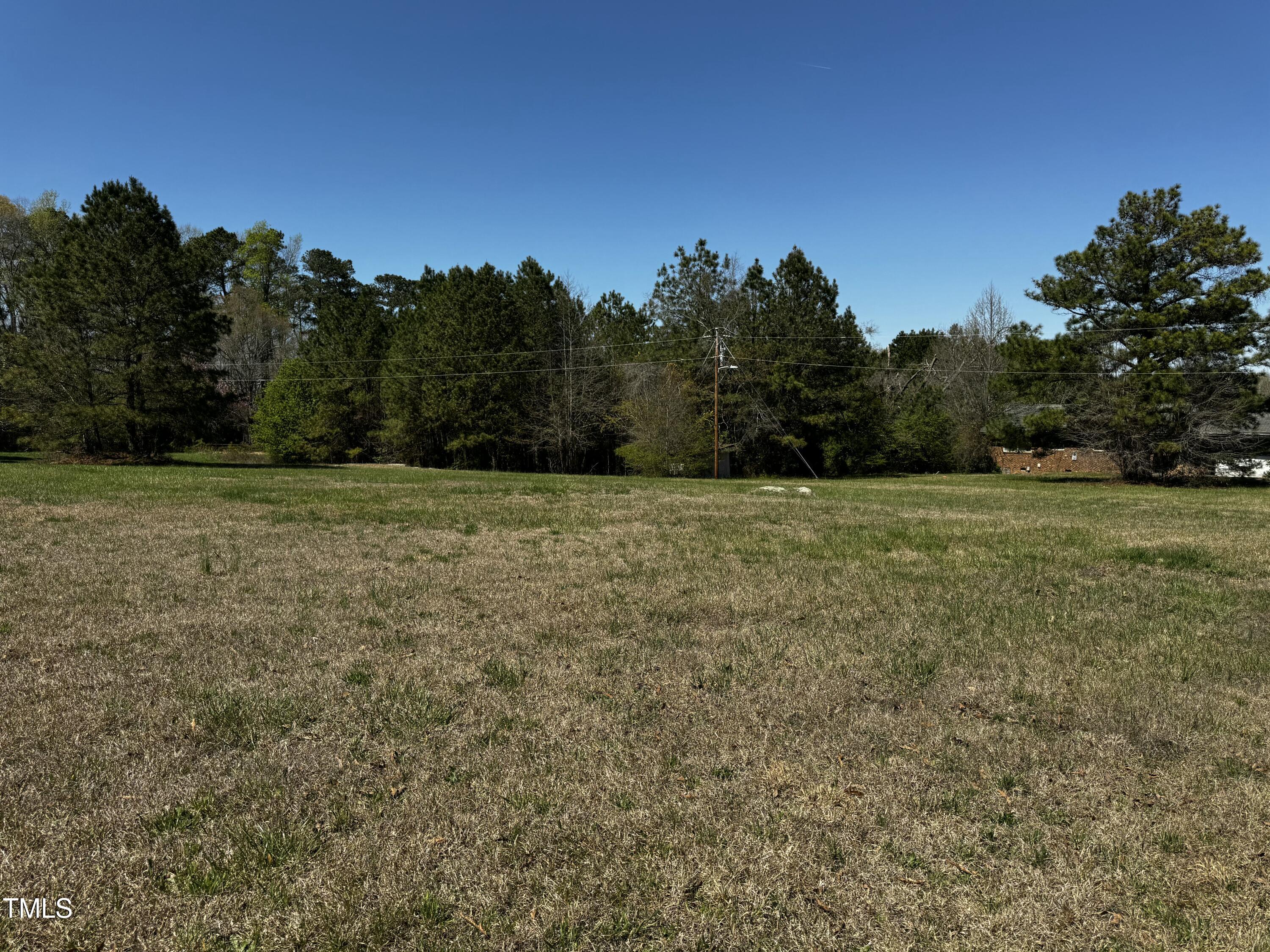 0 Battle Bridge Road Raleigh, NC 27610 - Photo 4 of 4 a view of a field with trees in the background