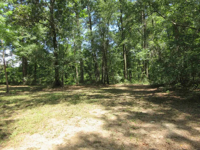 $59,500 | 11228 Daddy Hall Lane, Tallahassee, FL 32309
