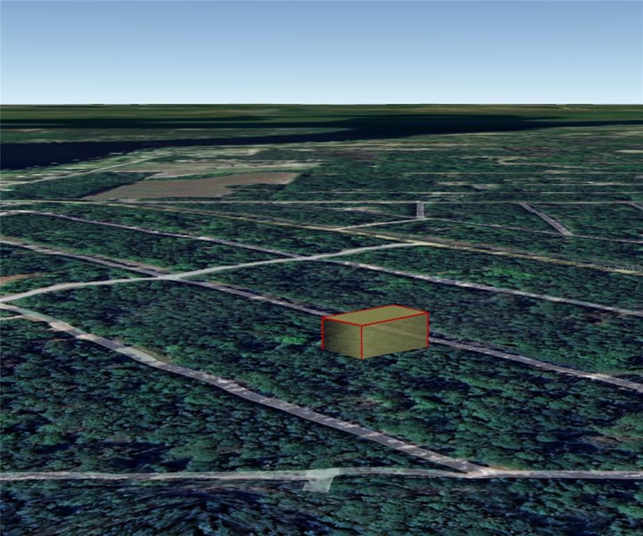 217 2nd Street Georgetown, FL 32139 - Photo 5 of 13