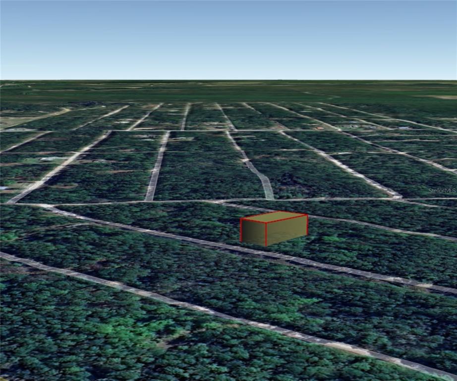 217 2nd Street Georgetown, FL 32139 - Photo 6 of 13