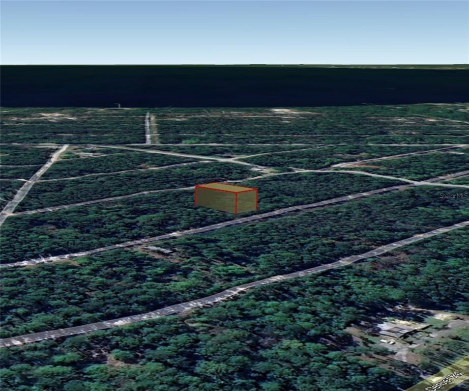 217 2nd Street Georgetown, FL 32139 - Photo 8 of 13