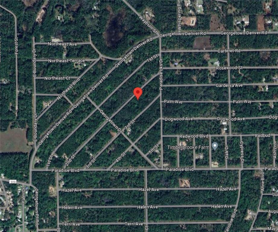 217 2nd Street Georgetown, FL 32139 - Photo 10 of 13