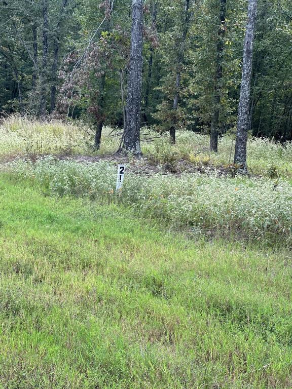 Lot 21 Angler Shores Yantis, TX 75497 - Photo 6 of 12 a big yard with lots of green space and deers