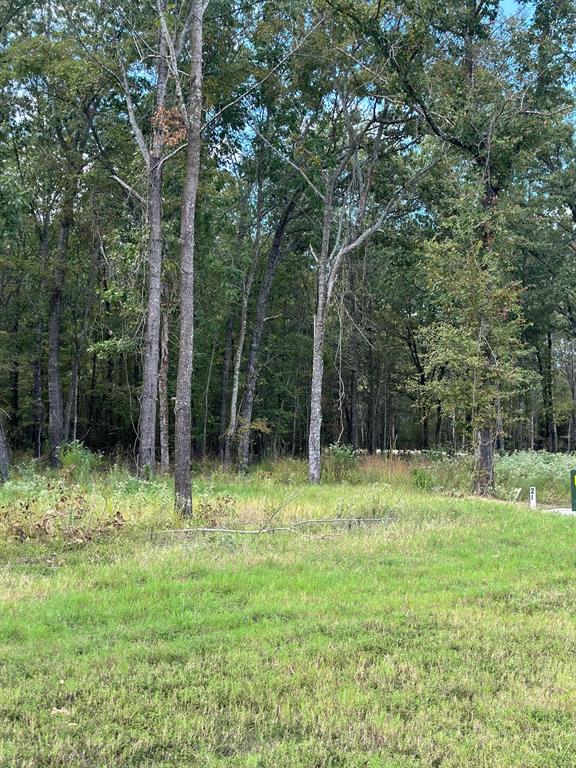 Lot 21 Angler Shores Yantis, TX 75497 - Photo 7 of 12 a backyard of a house with lots of green space