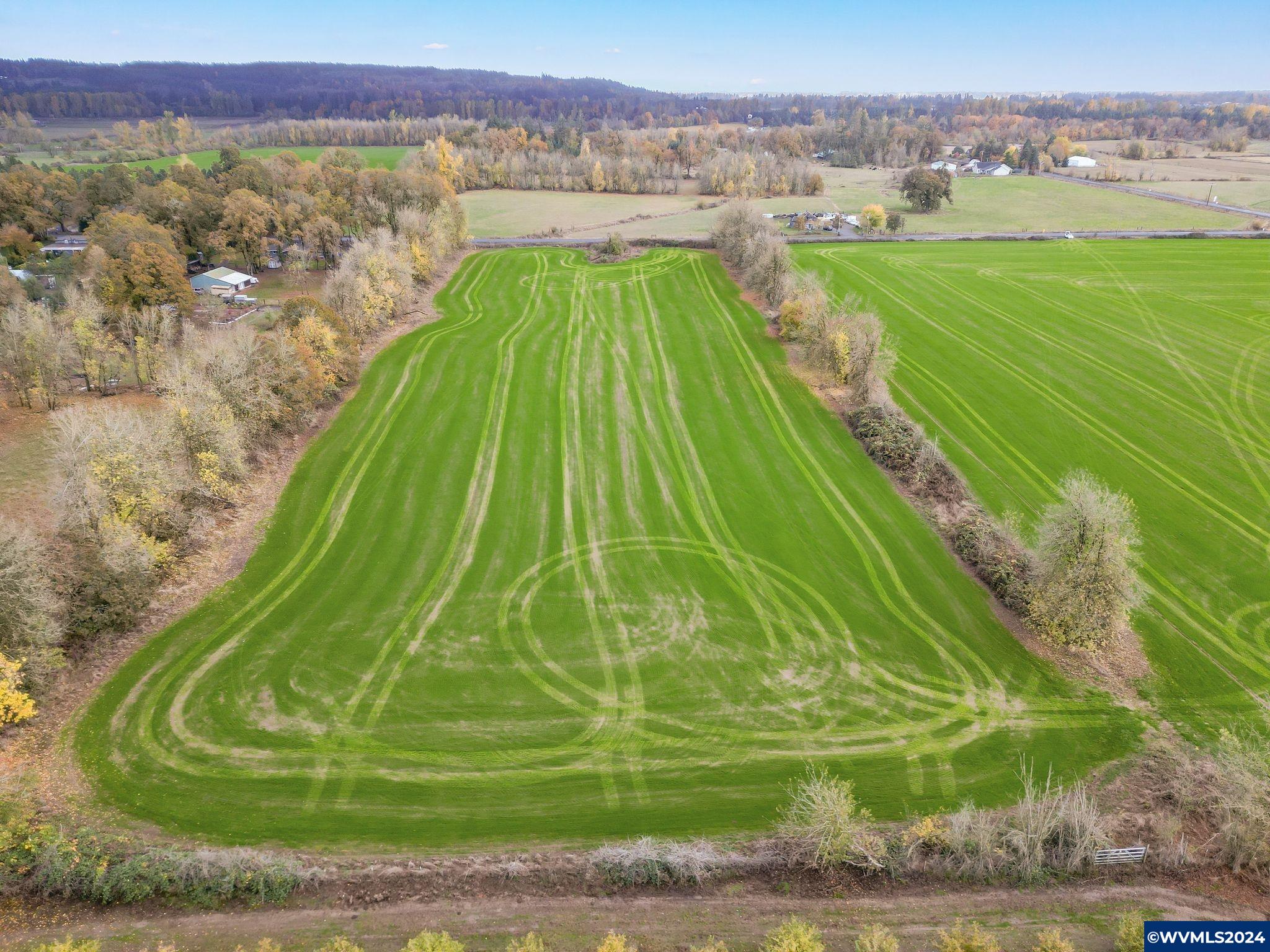 Robinson (n Of Goar Rd) Drive Scio, OR 97374 - Photo 12 of 14