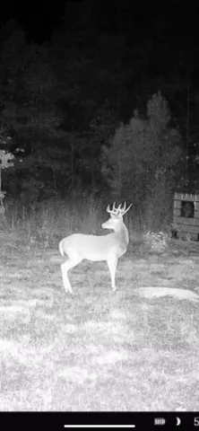 $199,900 | 1579-1 Avinger Tx 75630, Hughes Springs, TX 75656