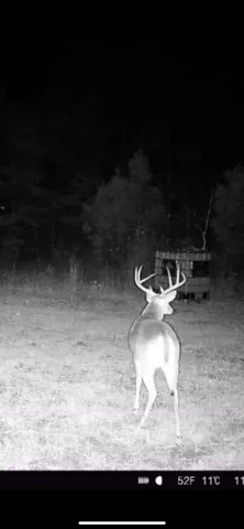 $199,900 | 1579-1 Avinger Tx 75630, Hughes Springs, TX 75656