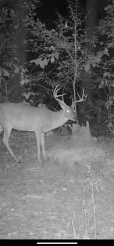 a view of small pool