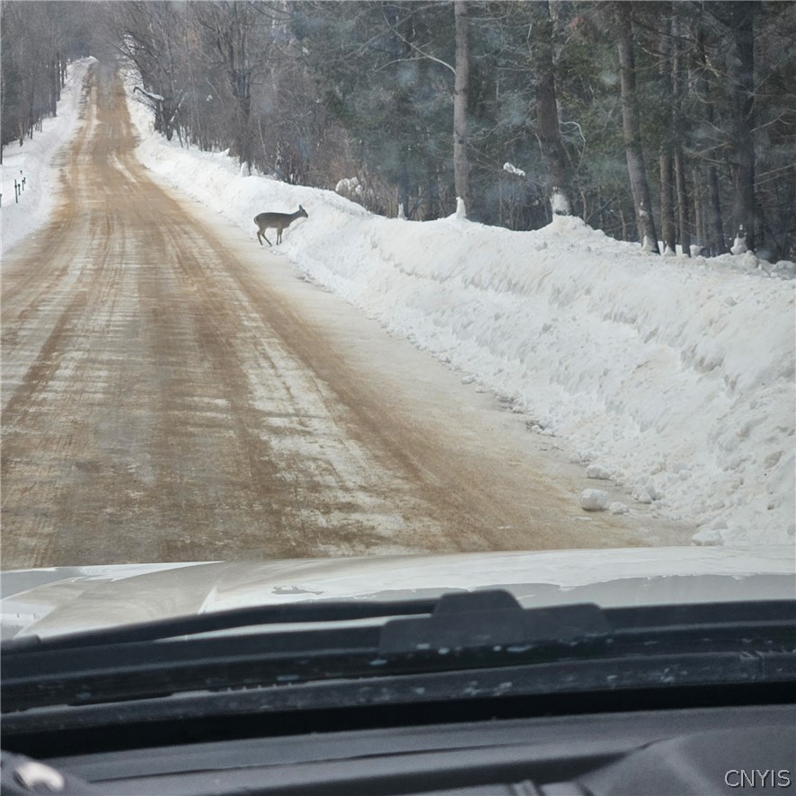 0 County Rte 35 Norwood, NY 13668 - Photo 3 of 6