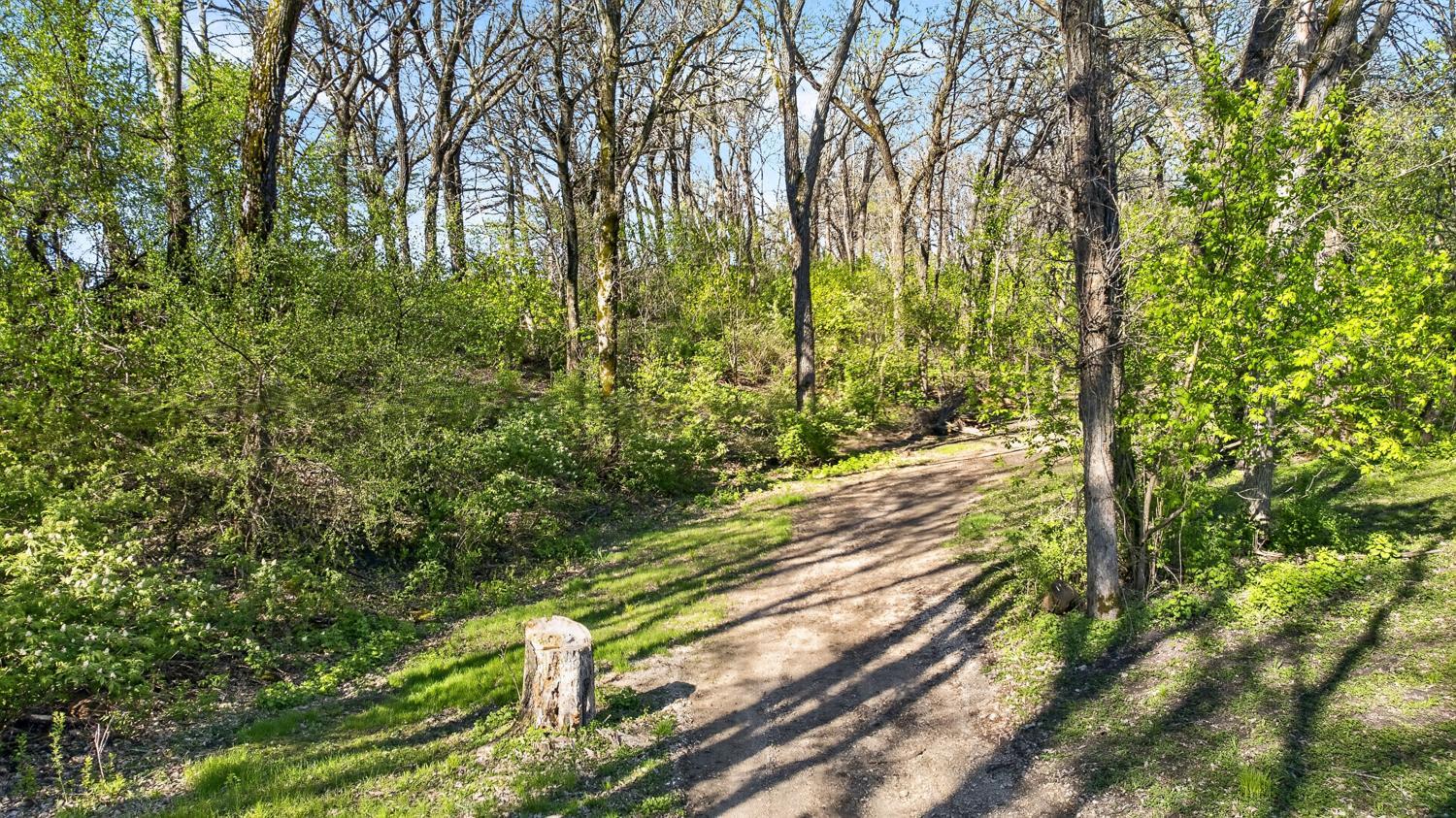 16628 County 14 Spring Valley, MN 55975 - Photo 21 of 41