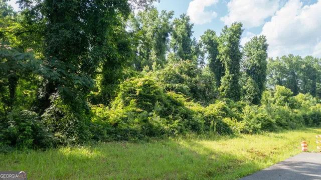 $225,000 | 0 Roosevelt Highway, Warm Springs, GA 31830