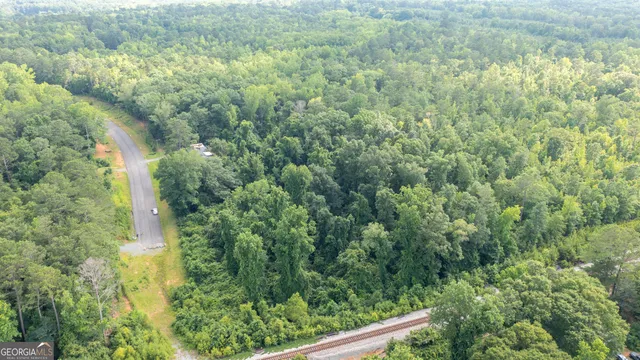 $225,000 | 0 Roosevelt Highway, Warm Springs, GA 31830