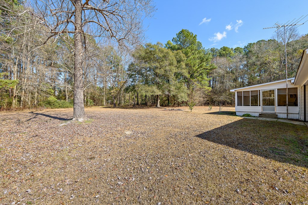 311 Faith Road Hartford, AL 36344 - Photo 26 of 31