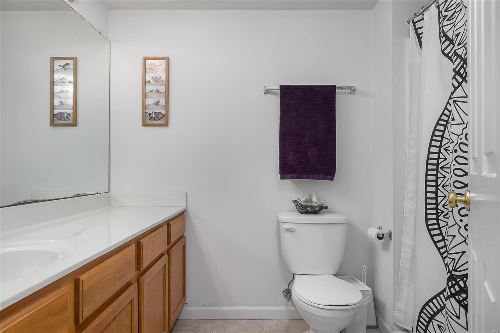 11300 Spring Creek Lane, Unit 3A O'Fallon, MO 63368 - Photo 23 of 30