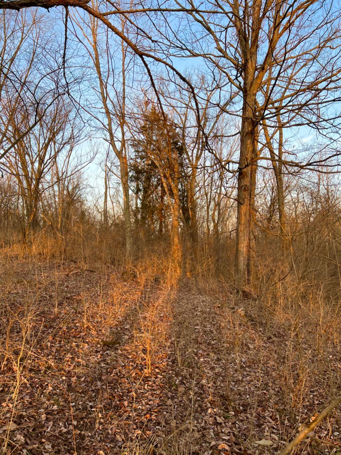 0 Ridgeland Road Manchester, OH 45144 - Photo 29 of 35