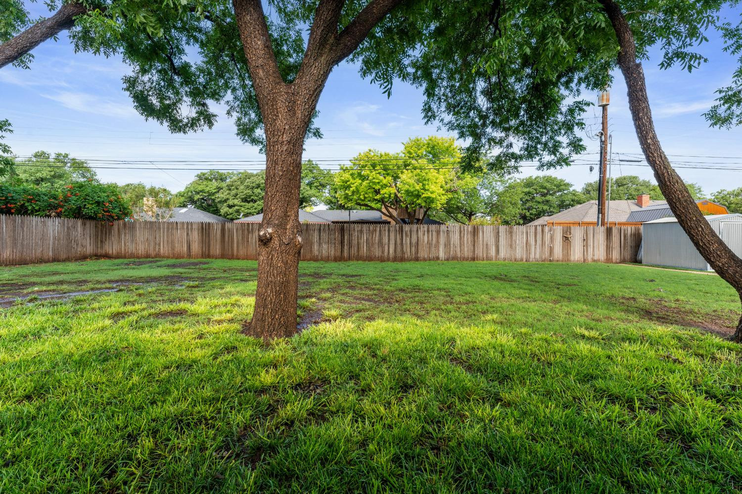 1613 Ave H Abernathy, TX 79311 - Photo 23 of 24 Back Yard