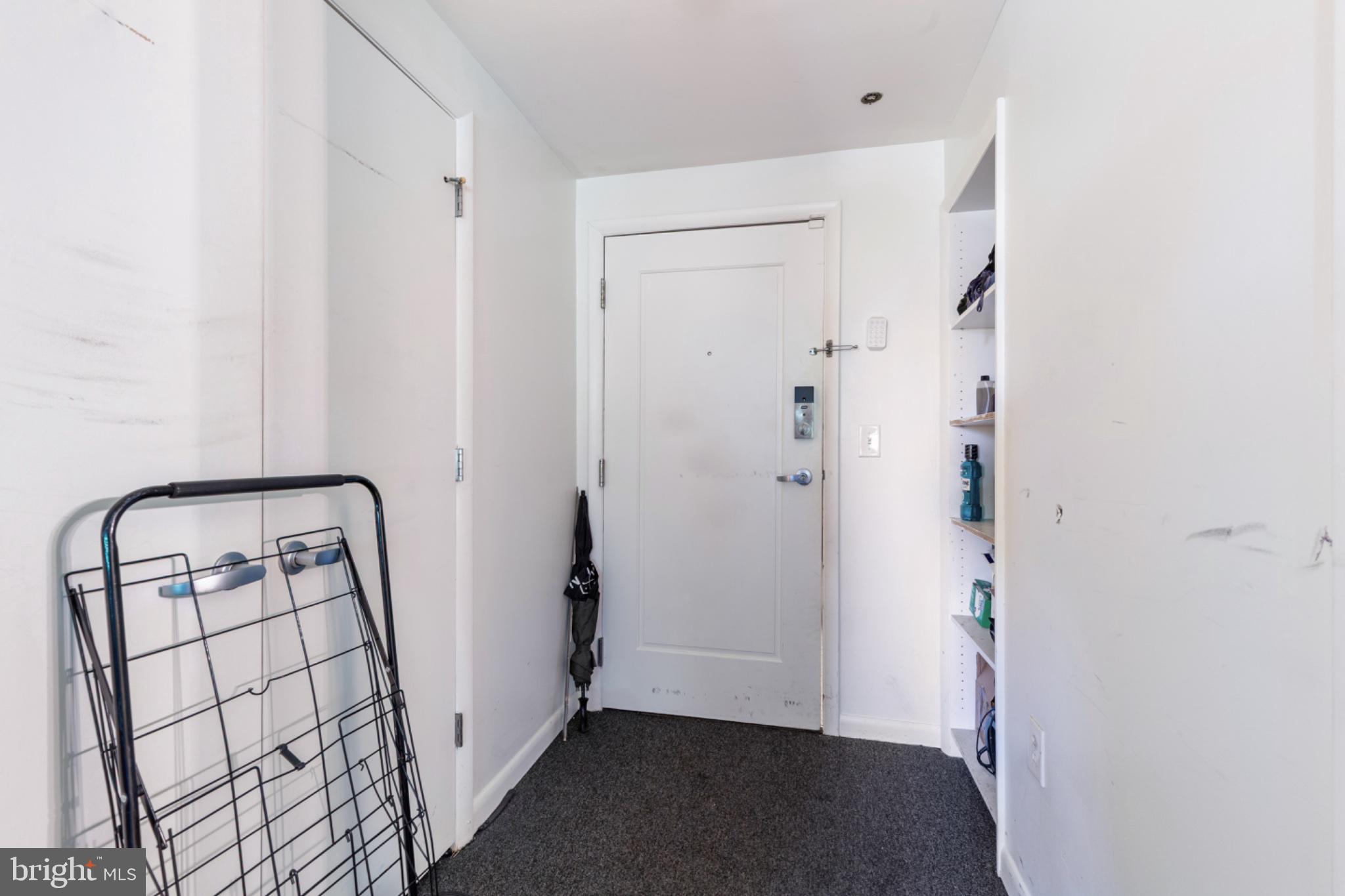350 G Street Southwest, Unit N423 Washington, DC 20024 - Photo 10 of 43 Inviting entryway with modern charm.