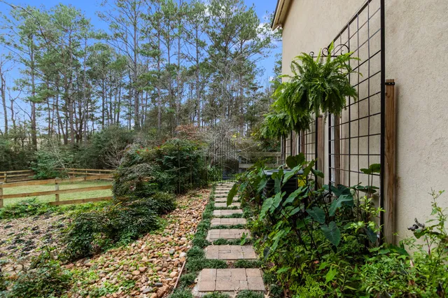 a view of a yard with plants and large trees