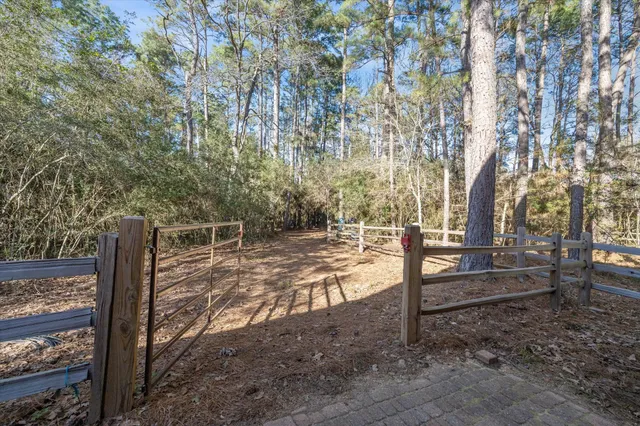 a view of backyard with trees