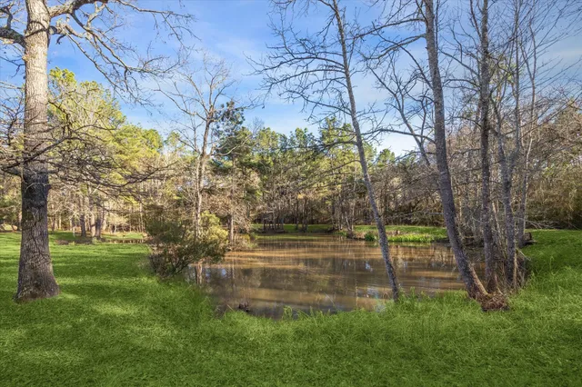 a view of a yard with a tree
