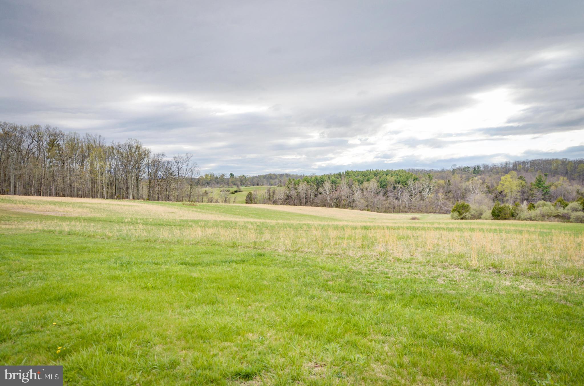 View of Oatlands