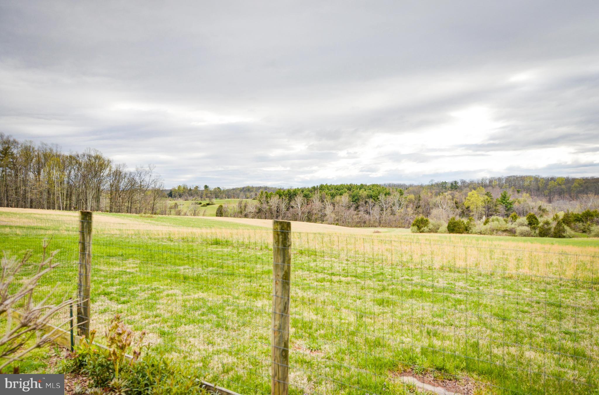 40215 Gap Road Leesburg, VA 20175 - Photo 18 of 21 View from backyard