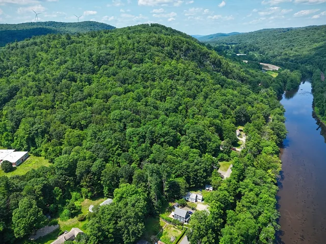 a view of a lush green forest with lots of trees