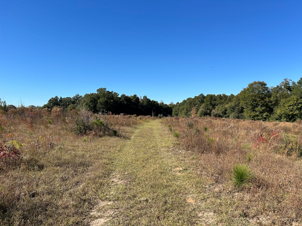 62/ Cty Road Coleman, GA 39836 - Photo 28 of 58