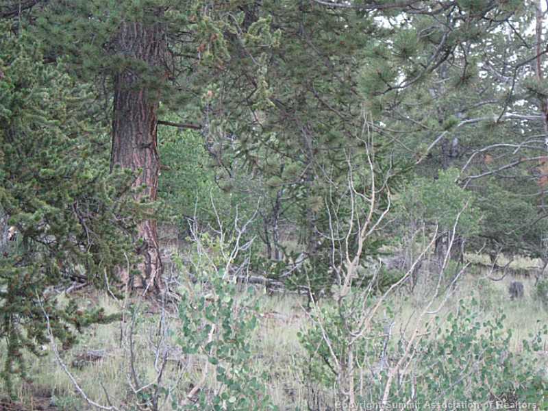 950 Bow String Road Como, CO 80456 - Photo 6 of 11 Land/Lot.