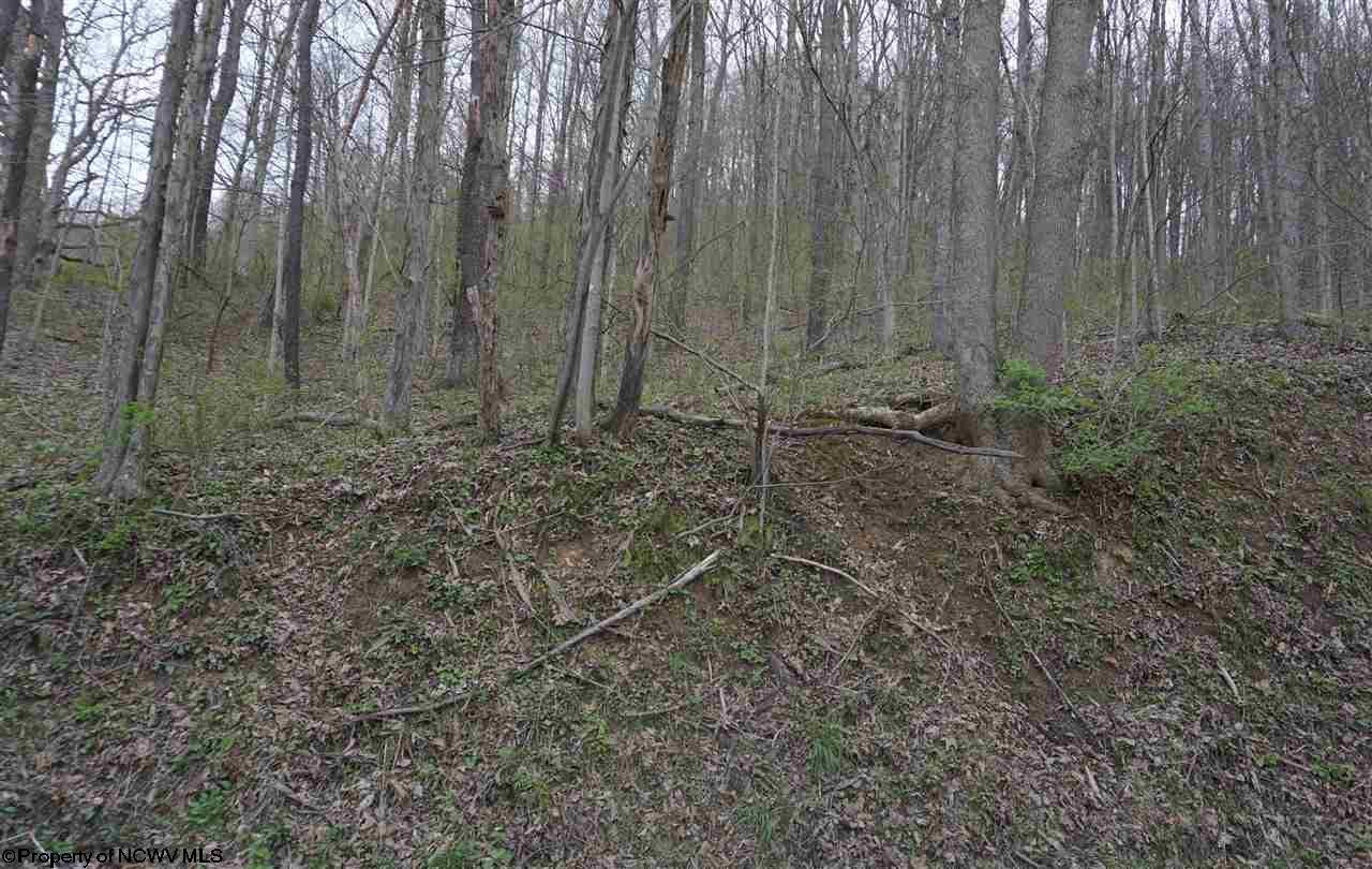 36.5-ac Margaret Road Mannington, WV 26582 - Photo 2 of 3 Gallery Image 2