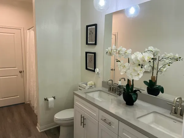 a bathroom with a sink a toilet and mirror