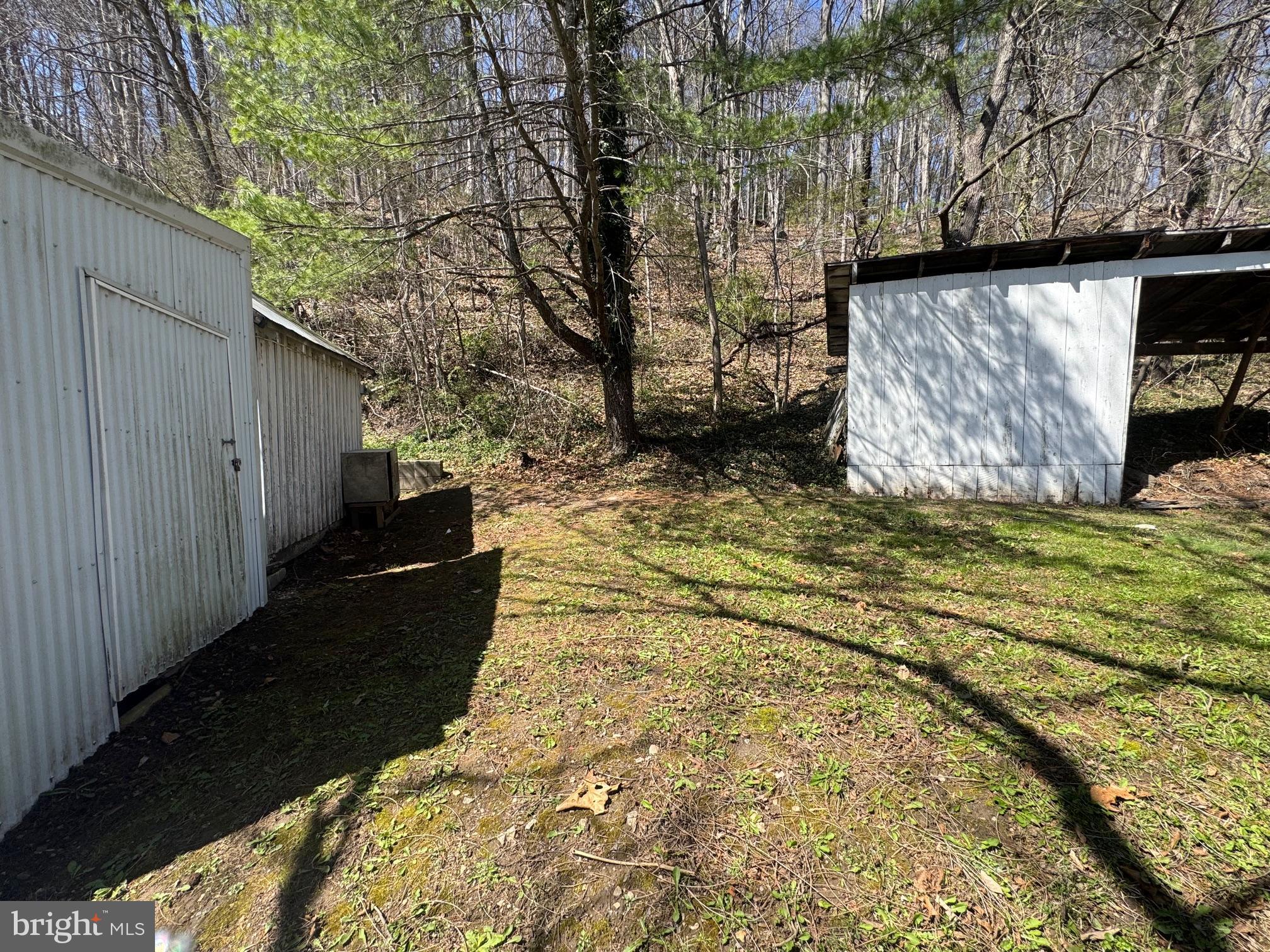 18250 South Fork Road Moorefield, WV 26836 - Photo 43 of 76 a view of back yard of the house